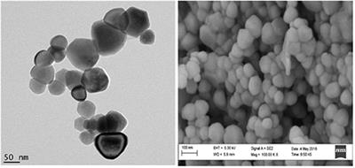 Peptide Modified ZnO Nanoparticles as Gas Sensors Array for Volatile Organic Compounds (VOCs)